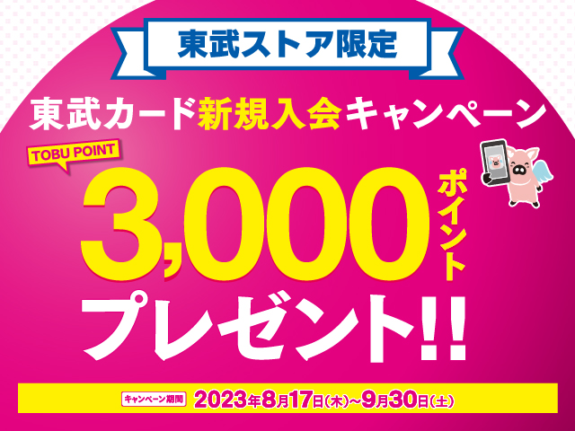 日本の人気店 【マリオット】100,000ポイント その他