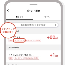 ランクアップ対象ポイント確認方法