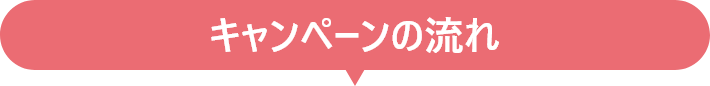 キャンペーンの流れ