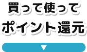 買って使ってポイント還元