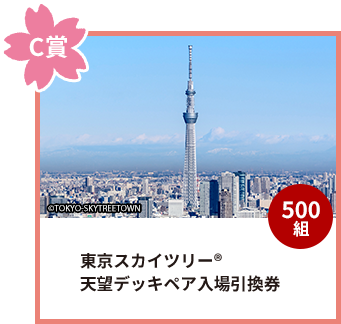 東京スカイツリー®天望デッキペア入場引換券 500名様